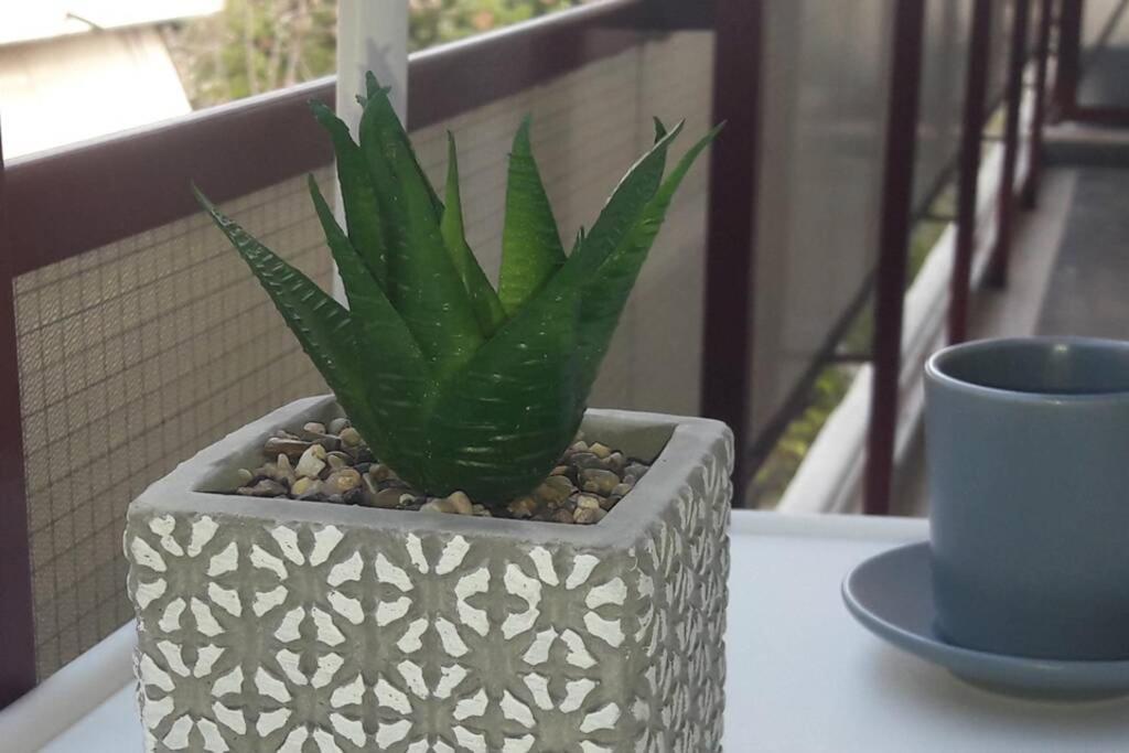 דירות אתונה Elegant & Charming Apt. In The Hilton Area מראה חיצוני תמונה